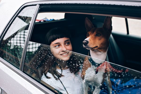 How to Keep Your Pets Safe in the Car