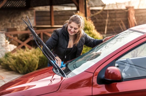 Why a Car Sitter is Just as Important as a Pet Sitter