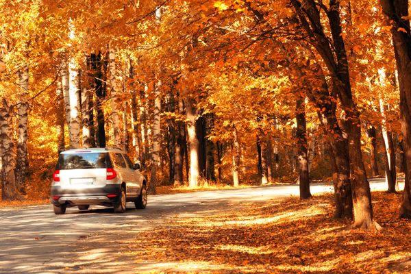 How To Give Thanks To Your Car